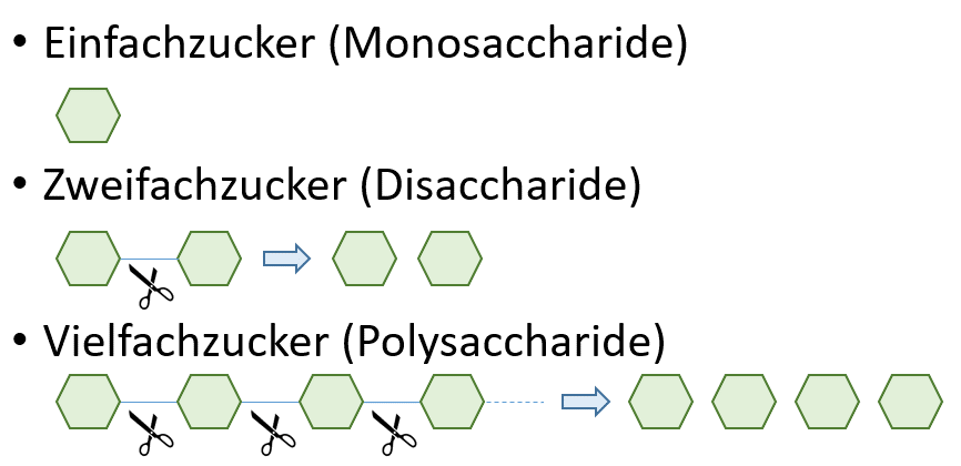 Formel: Spaltung Sachharide