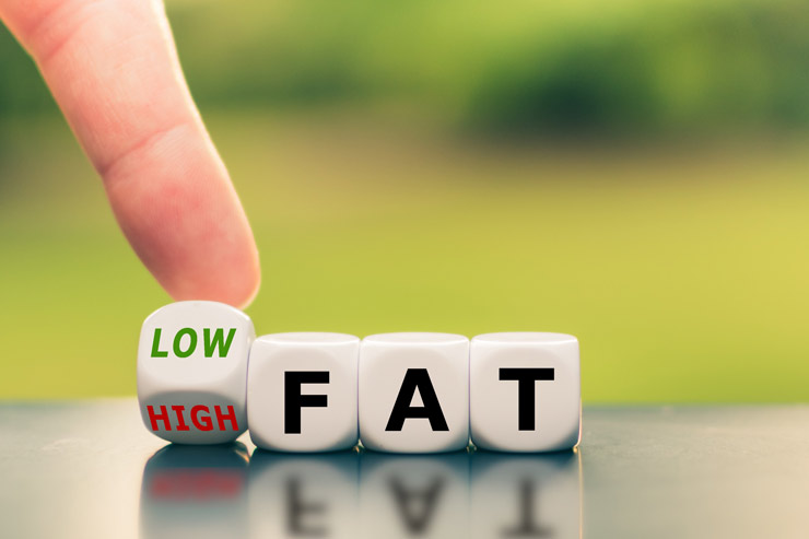 Low Fat Drei Würfel, die das Wort "FAT" anzeigen, der Würfel der davorliegt wird mit dem Finger gekippt und es erscheint entweder "LOW" oder "HIGH"-FAT