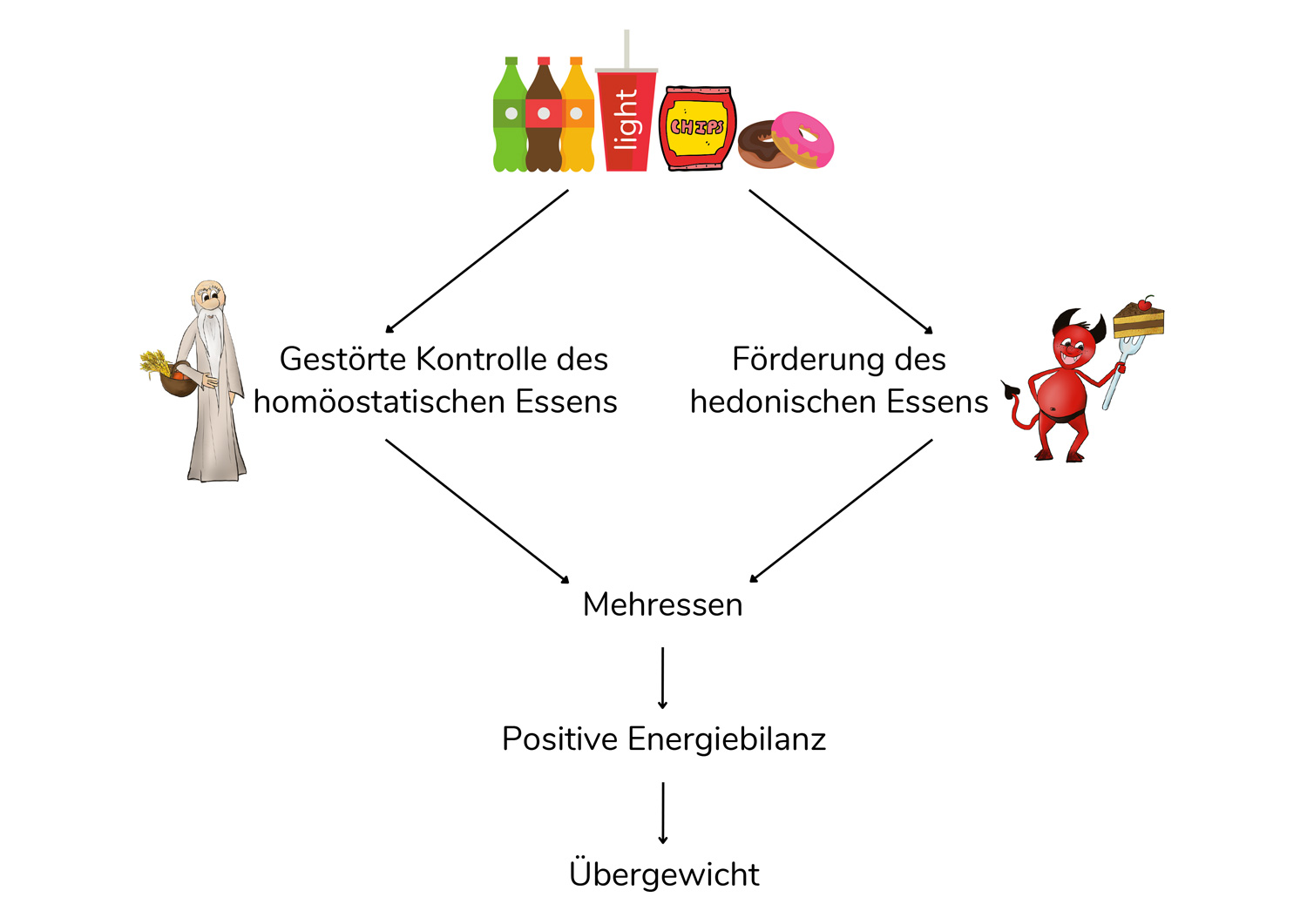 Zusammenhang von homöostatischem und hedonischem Essen Mehressen und Übergewicht