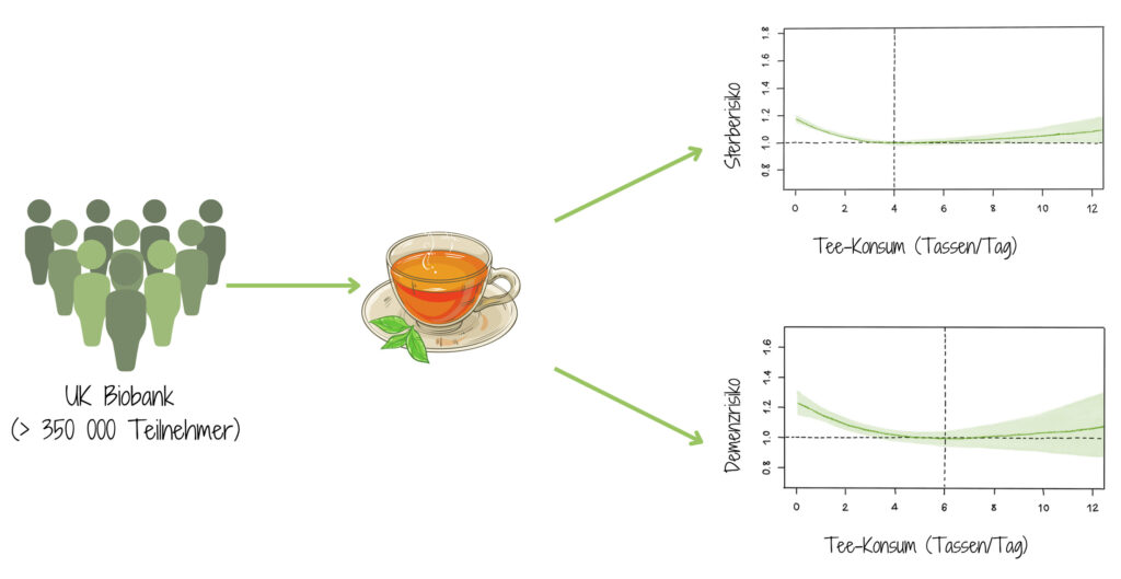 Einfluss von Tee auf das Sterbe- und Demenzrisiko