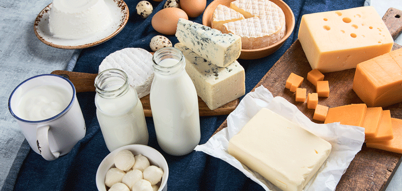Tisch mit verschiedenen Milchprodukten wie Käse, Butter, Milch